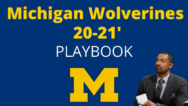 Michigan Wolverines Playbook